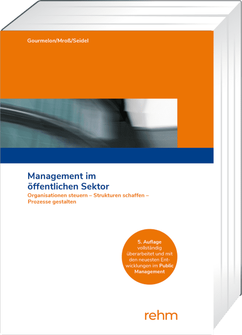 Management im öffentlichen Sektor 